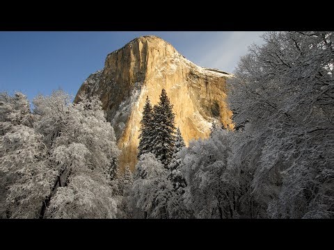Instrumental Acoustic Indie/Folk Playlist, Chill Music "The Pines of Yosemite" Open Road Folk Music