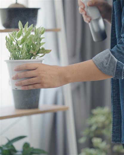 1万円からはじめられる「おまかせ資産運用」 金融の専門知識がなくても 約50カ国12,000銘柄に自動で分散投資 売買手数料や為替手数料は0円 | WealthNavi（ウェルスナビ）