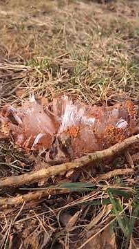 Frost heave explained