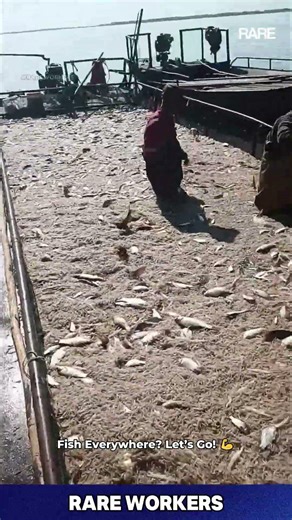 HARD TO BELIEVE 🤯how men scoop fish 🐟🚣#shorts