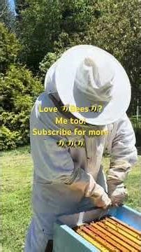 I Think I Used Too Much Smoke… And Now Im Paying For It 😅🔥 | Beekeeping