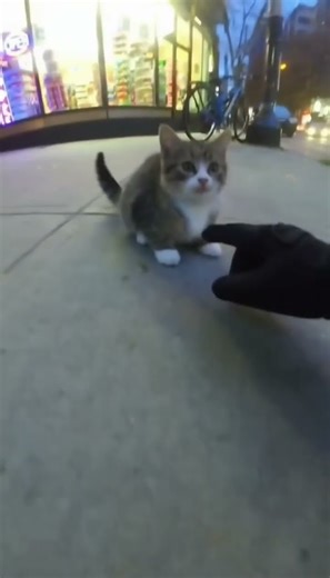 Shoplifting is a crime even you're cute!