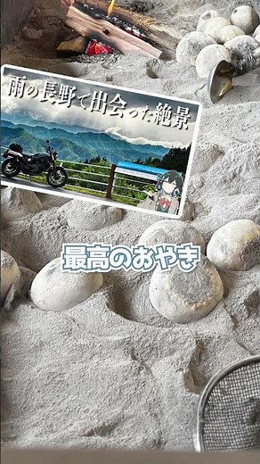 偶然出会った最高の絶景、長野県の道の駅巡りと展望台…！ #CL250 #宮舞モカ #バイクツーリング