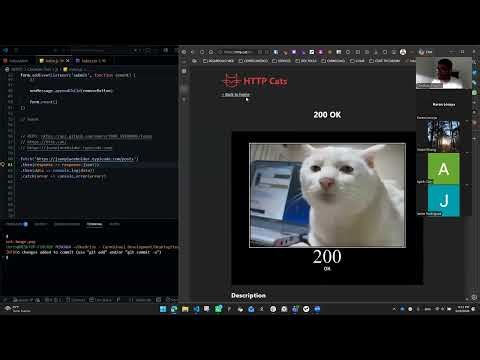 Lesson 9: Fetch API