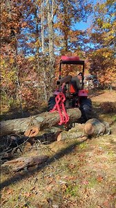 Micro Logging Black Oak