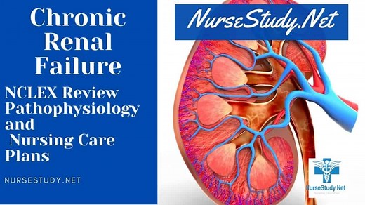Chronic Renal Failure Nursing Diagnosis & Care Plan - NurseStudy.Net