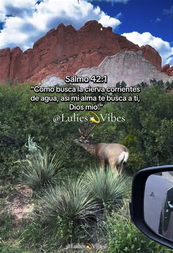 Salmo 42:1 “Como busca la cierva corrientes de agua, así mi alma te busca a ti, Dios mío.” Colorado ⛰️ Salmo 42:1. Biblia. 📖 #Dios #reflexion #salmos #nature #ParaTi