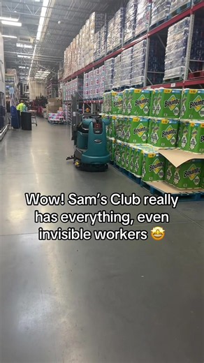 Sam's Club: Everything You Need (Even Invisible Helpers!)
