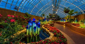 SUPER. NATURAL. Glass Art by Jason Gamrath | Phipps Conservatory and Botanical Gardens | Pittsburgh PA