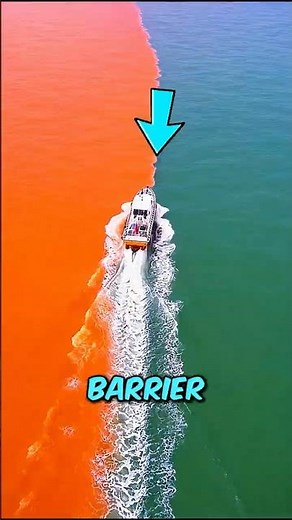 Atlantic vs Pacific The Truth Revealed 😱🌊
