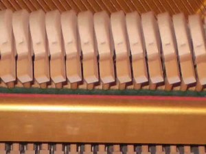 7 Elements in 4 Minutes