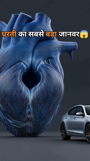 Blue Whale 🐋 – Dharti ka Sabse Bada Janwar! 😱 | Mind Blowing Facts #shortsfeed #shorts #viral #ocean