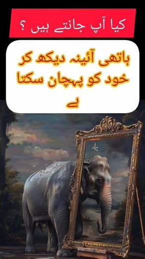 Elephants Recognize Themselves in Mirrors! 🪞🐘 | Mind-Blowing Animal Intelligence