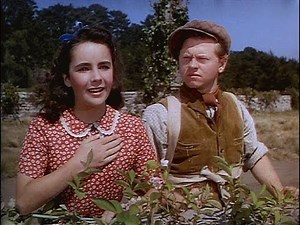 Velvet meets Pie - National Velvet (1944) (Add Subtitles)