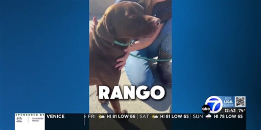 Pet of the Week: Rango