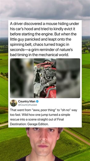 A driver discovered a mouse hiding under his car’s hood and tried to kindly evict it