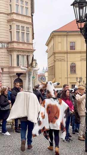 Masopust is the traditional Czech carnival celebration 🍖🍺🎭 that includes mask parades in different parts of the city.You can see colorful ceremonial processions of costumed characters such as devils, cows, goats, sheep, dogs, pigs etc. dancing and singing on the streets 💃🕺🎶🍺🍖 | PragueToday