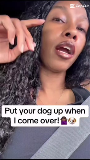 Bluethedachshund (@bluethedachshund)’s videos with original sound - life.with_tink