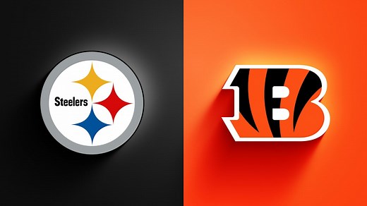 Steelers vs. Bengals highlights | Week 13