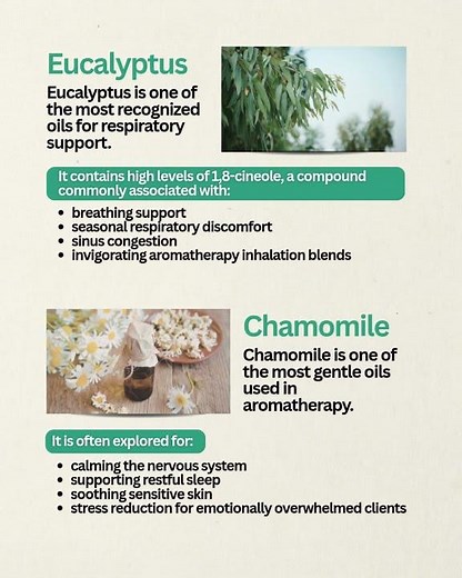 Top 10 Essential Oils for Your Home & Business