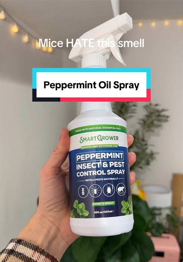 Mice can’t stand the smell of peppermint oil. That’s why this Peppermint Oil Spray is such a great mouse repellent. This also repels other rodents and insects. #mouserepellent