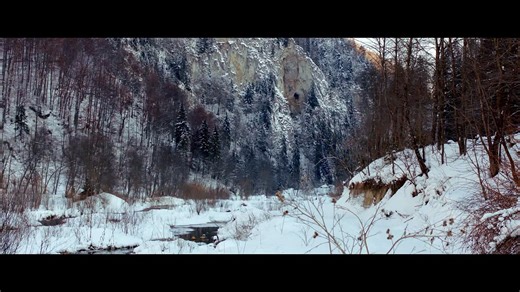 The Timber | movie | 2015 | Official Trailer