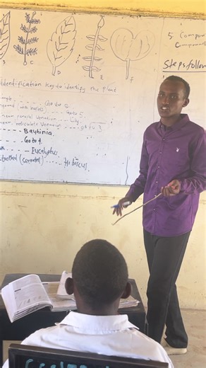 Understanding Dichotomous Keys in Biology