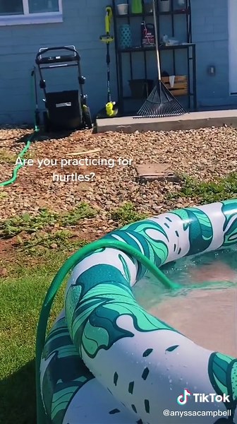 Jumping for joy! @minnidip #poolszn #puppy #belgianmalinois