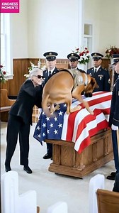 Kindness 🐾 Soldier's Dog's Emotional Farewell at Funeral #kindness #militarybond #shorts