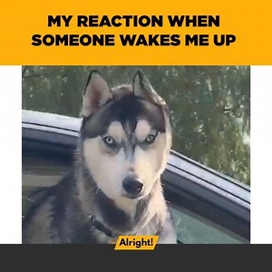 Don't angry me | Alright