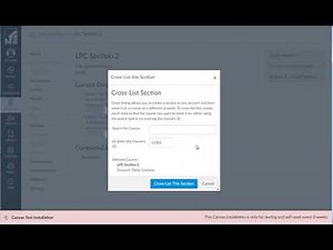 Merging two sections in Canvas
