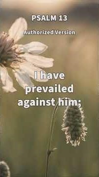 Psalms 13 KJV - Acoustic | Verses & Vibes (Music Video)