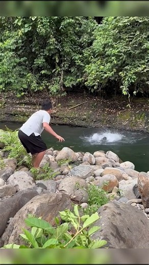 Sudden Attack Of Anaconda In Amazon Forest 😳