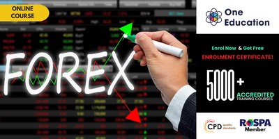 Forex Trading Diploma Video Course