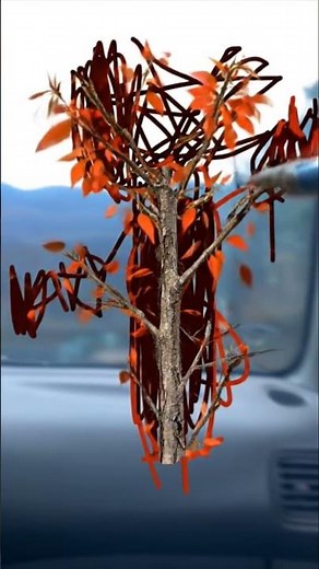 Ded tree just drownings