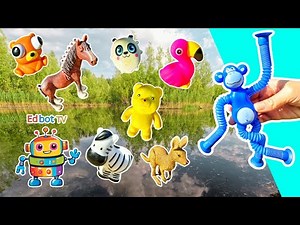 Kids Learn | Animal Names at the Pond for Babies: Panda Monkey Polar Bear Iguana Newt