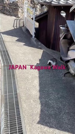 JAPAN | 3-Hour Uncut Walk | Ogijima Island Villages & Mountain Trails, Kagawa, Shikoku