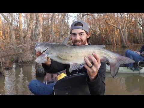 Yo-yo fishing tactics yield catfish and massive slab crappie