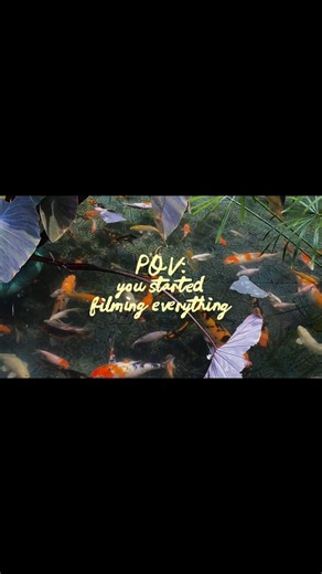 New trend alert 🚨‼️#templatelink in description #shortsfeed #viralshort #capcut #template