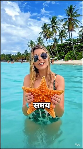 Starfish Can Do THIS?! 😱 | Amazing Starfish Facts
