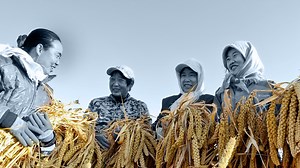 China food security: offshore fish farming turns idle waters into ‘marine breadbasket’