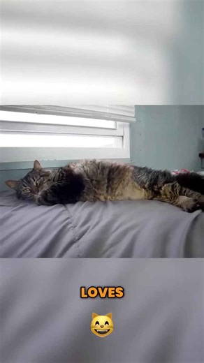 Clever DIY tiny home bedroom storage hacks