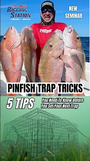 Pinfish Trap Tricks. New episode. #pinfish #pinfishing #pinfishtrap