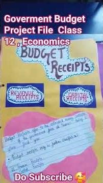 Government Budget #Project File #Class 12# Economics