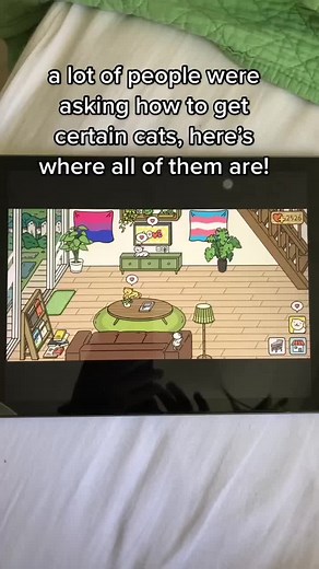 Adorable Home Cat Locations Revealed