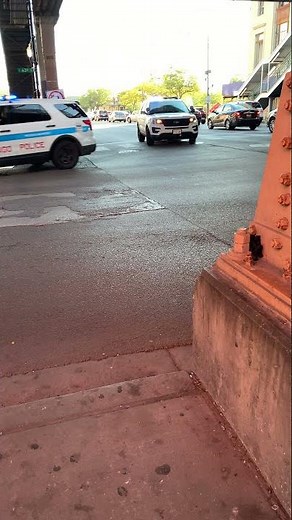 Chicago Police Department Responding Code 3 x3