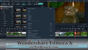 Скачать Wondershare Filmora крякнутый