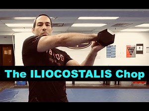 Lower Back Exercises - The Iliocostalis Chop