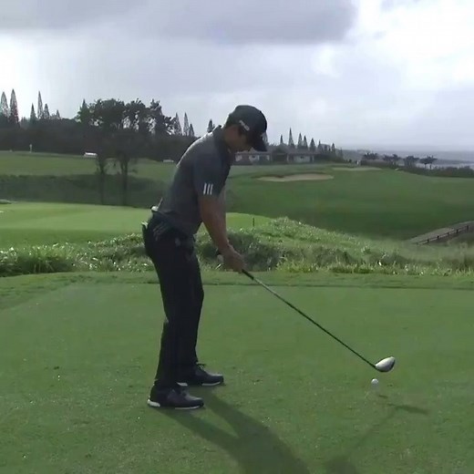 Hole-in-one? ¯_(ツ)_/¯ | PGA TOUR