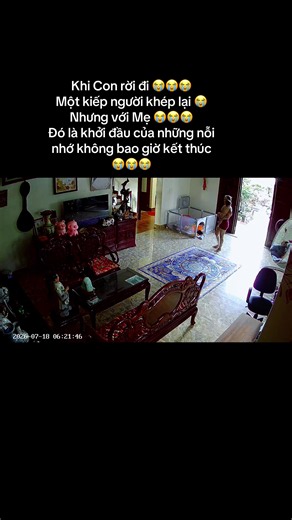Khi con rời đi: Nỗi nhớ mẹ không bao giờ kết thúc